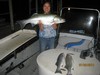 (07/23/2014) - Nice Striped Bass